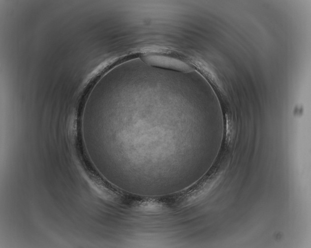 X0000097460348200802221219
