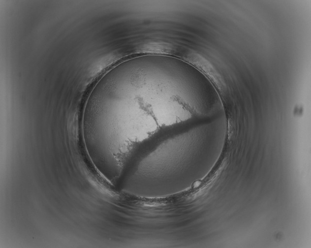X0000097460349200802221219