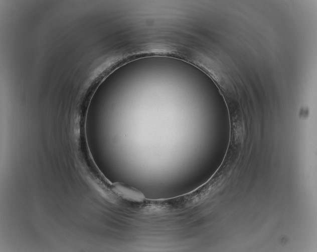 X0000097460350200802221219
