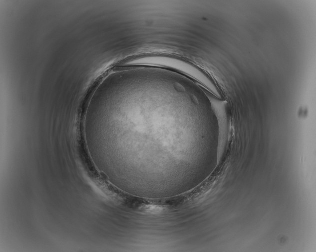 X0000097460352200802221219