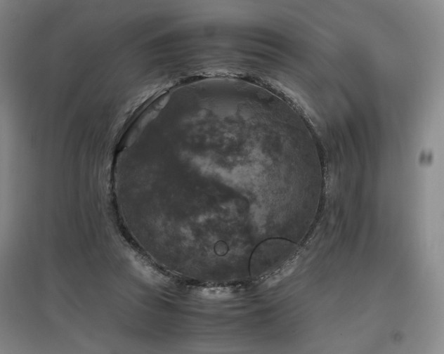X0000097460353200802221219