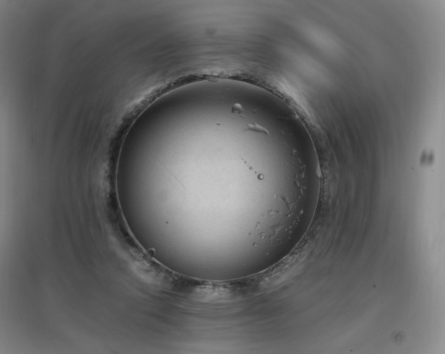 X0000097460354200802221219