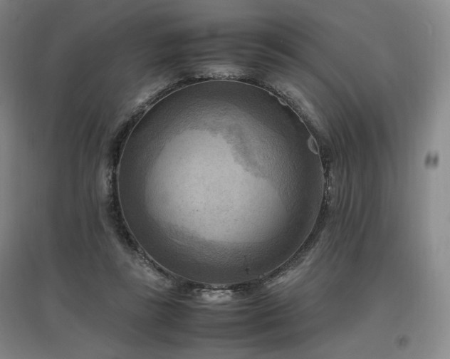 X0000097460355200802221219