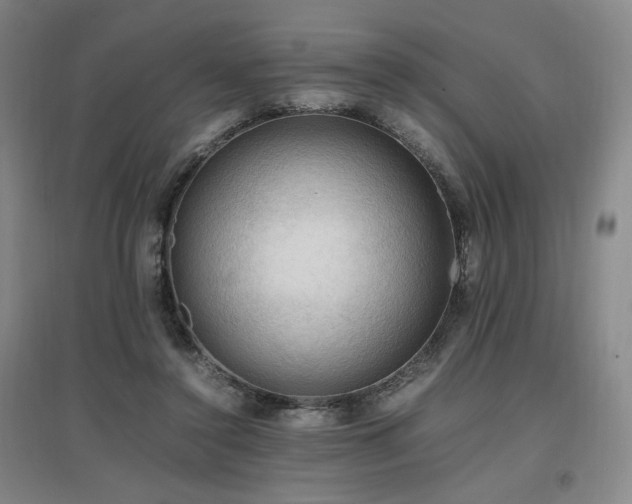 X0000097460356200802221219