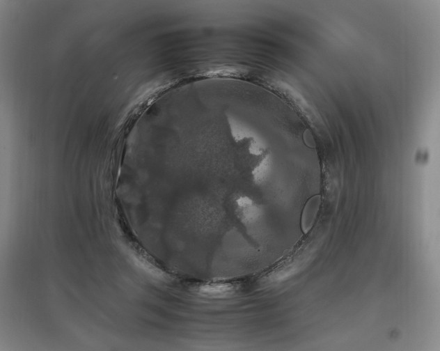 X0000097460357200802221219