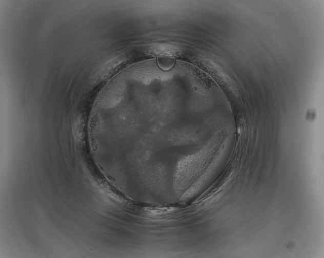 X0000097460359200802221219