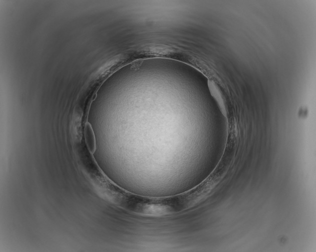 X0000097460360200802221219
