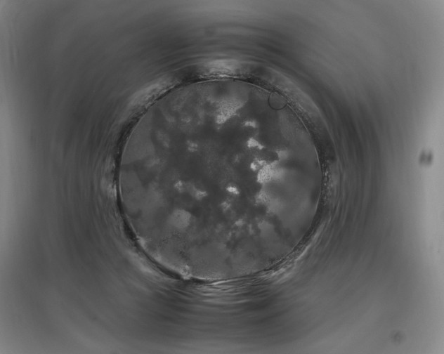 X0000097460361200802221219