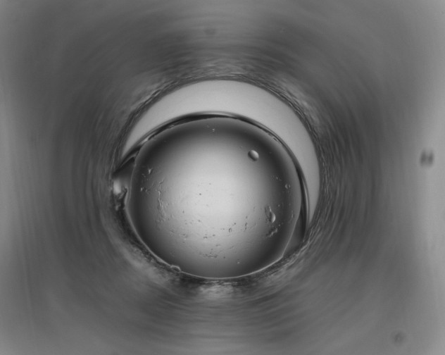 X0000097460362200802221219