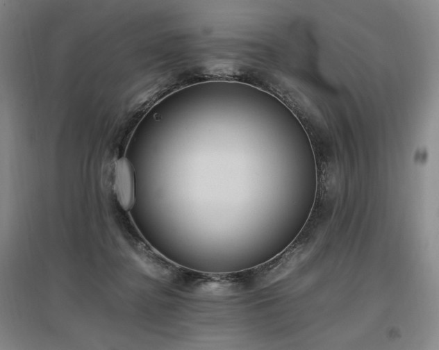 X0000097460364200802221219