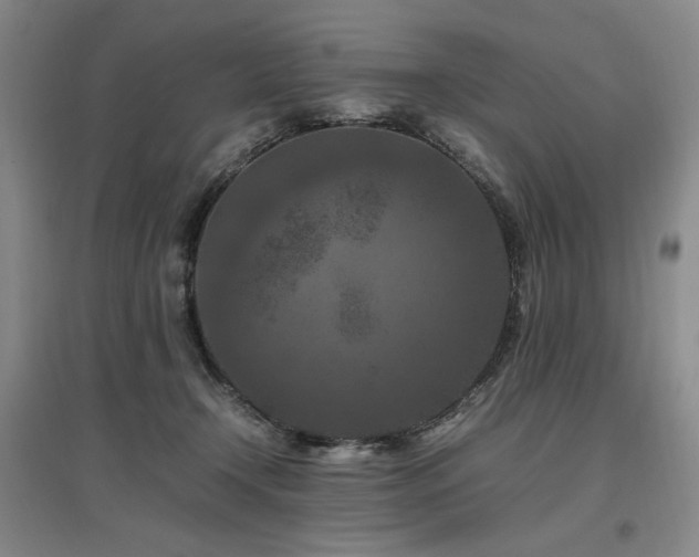 X0000097460366200802221219