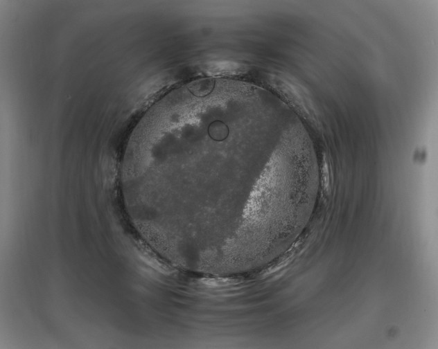 X0000097460367200802221219