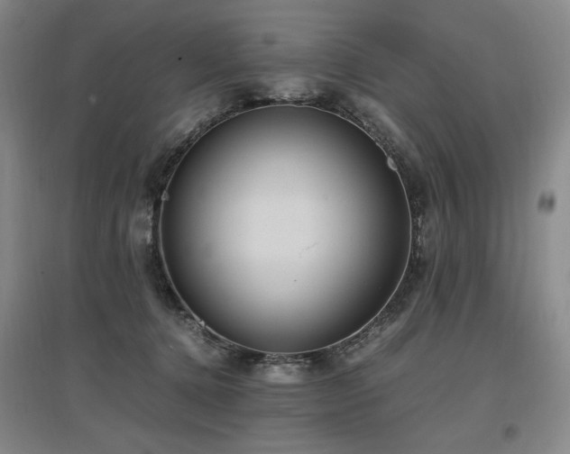 X0000097460368200802221219