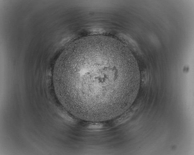 X0000097460369200802221219