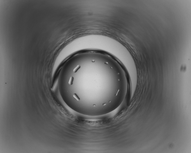X0000097460370200802221219