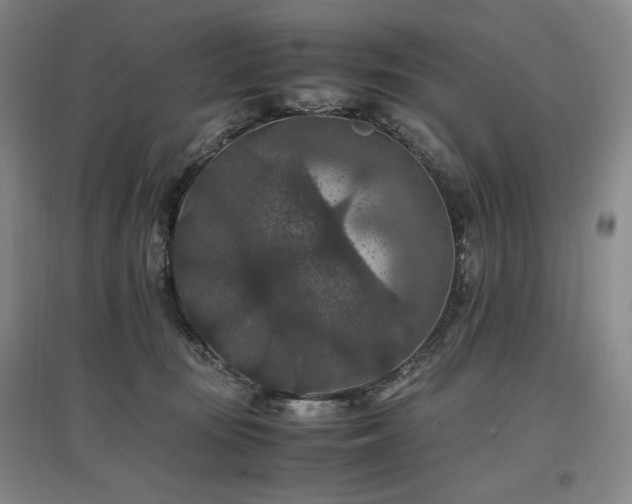 X0000097460371200802221219
