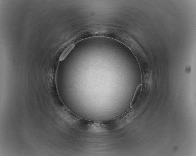 X0000097460372200802221219