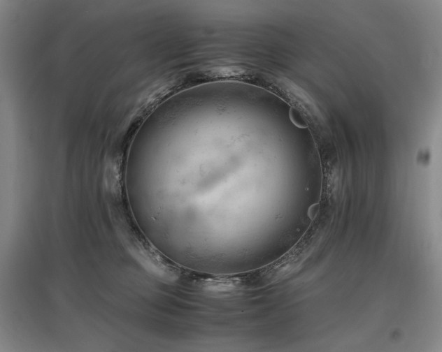 X0000097460373200802221219