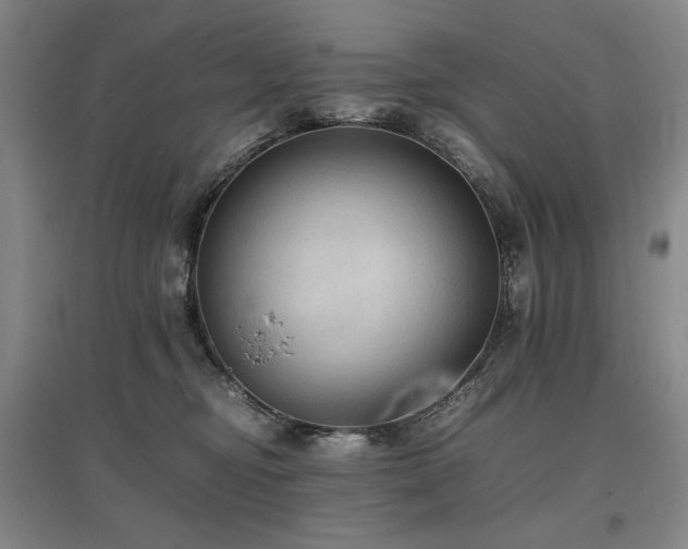 X0000097460374200802221219