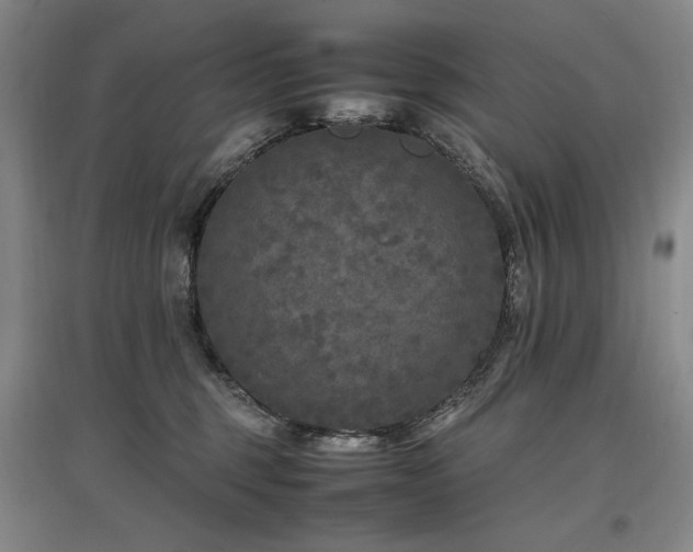 X0000097460375200802221219