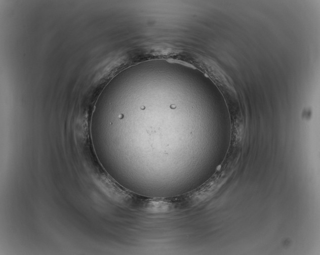 X0000097460376200802221219