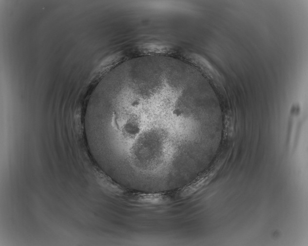 X0000097460377200802221219