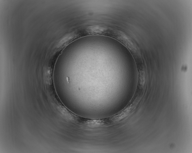 X0000097460378200802221219