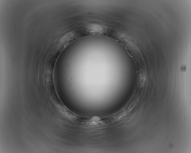 X0000097460379200802221219