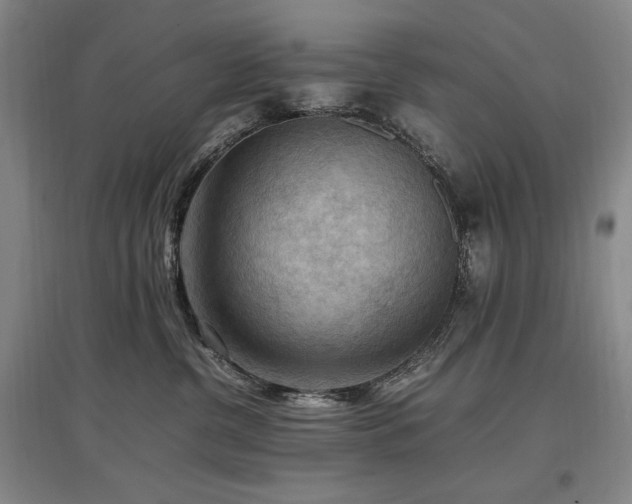 X0000097460380200802221219