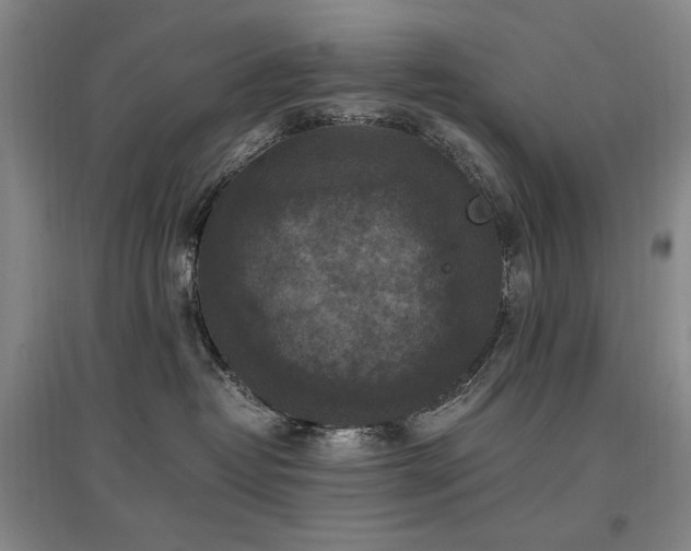 X0000097460382200802221219