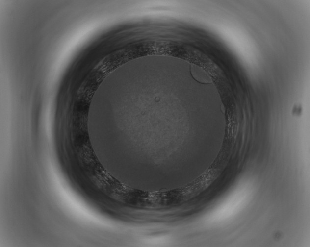 X0000097460383200802221219