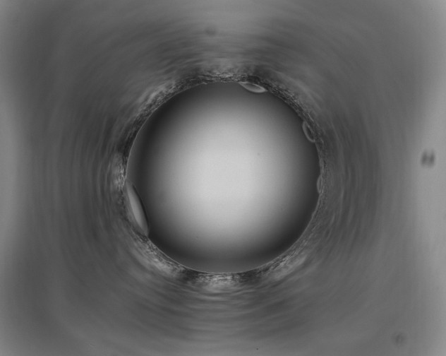 X0000097460384200802221219