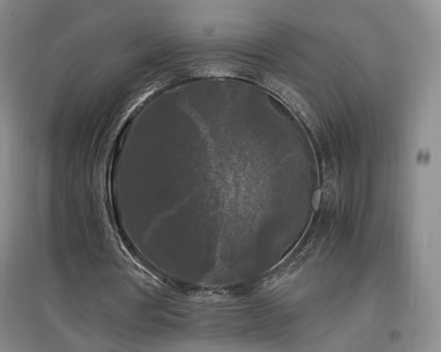 X0000097460386200802221218