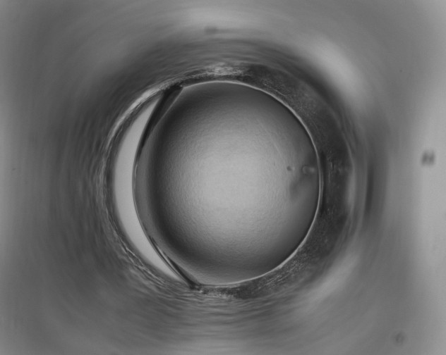 X0000097460387200802221218