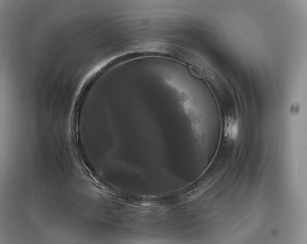 X0000097460388200802221218