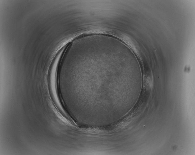 X0000097460389200802221218