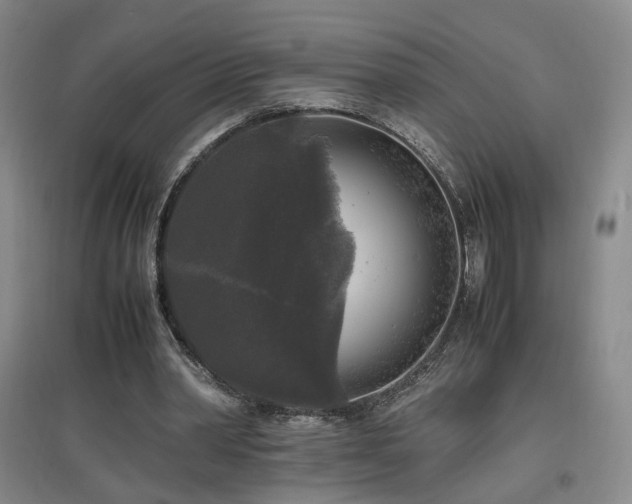 X0000097460390200802221218