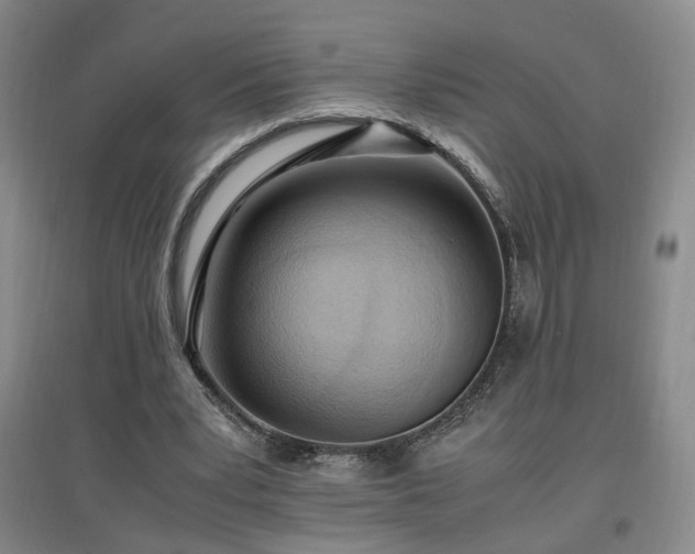 X0000097460391200802221218