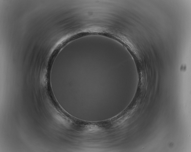 X0000097460392200802221218