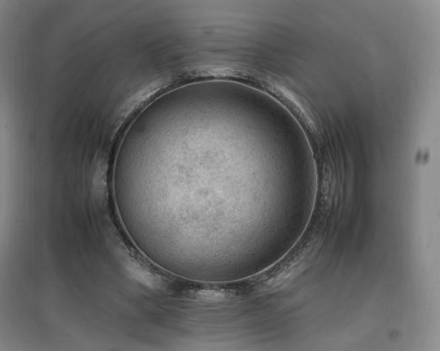 X0000097460394200802221218
