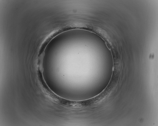X0000097460395200802221218