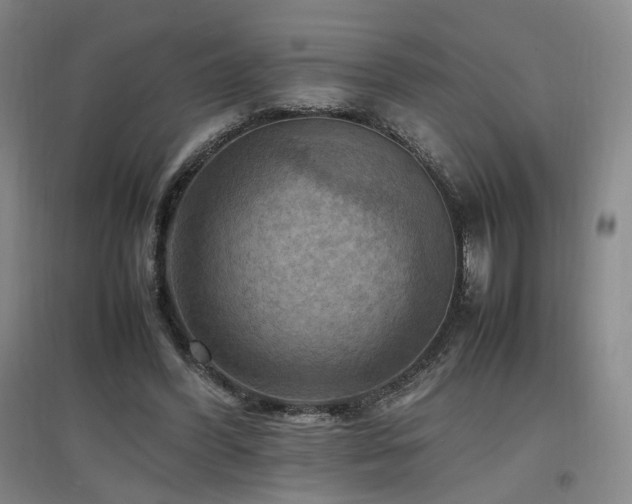 X0000097460396200802221218