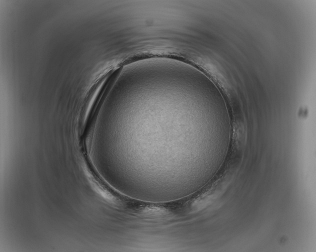 X0000097460397200802221218