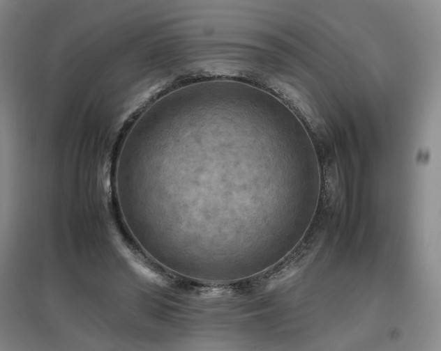 X0000097460398200802221218