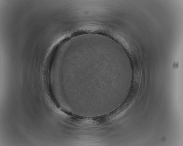 X0000097460399200802221218