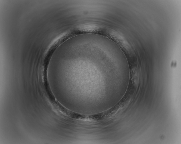X0000097460400200802221218