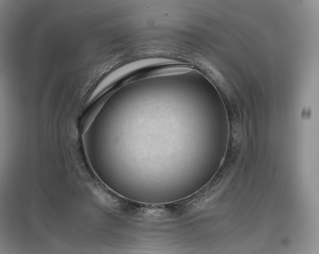 X0000097460401200802221218