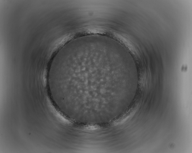 X0000097460402200802221218