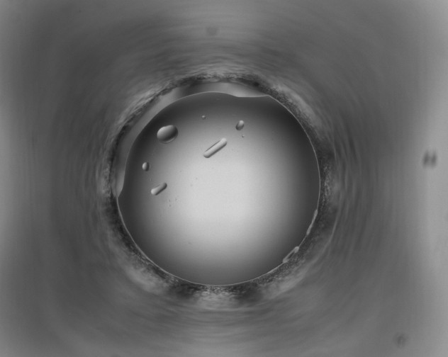 X0000097460403200802221218