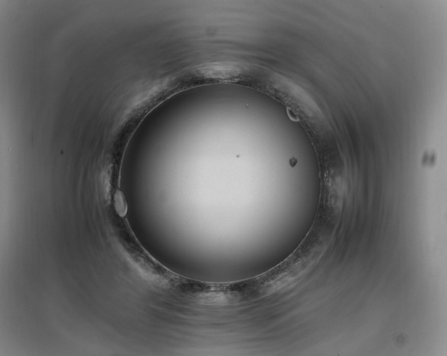 X0000097460404200802221218